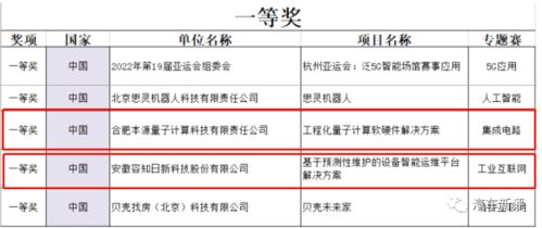 全球赛事 合肥高新区两家企业荣获一等奖